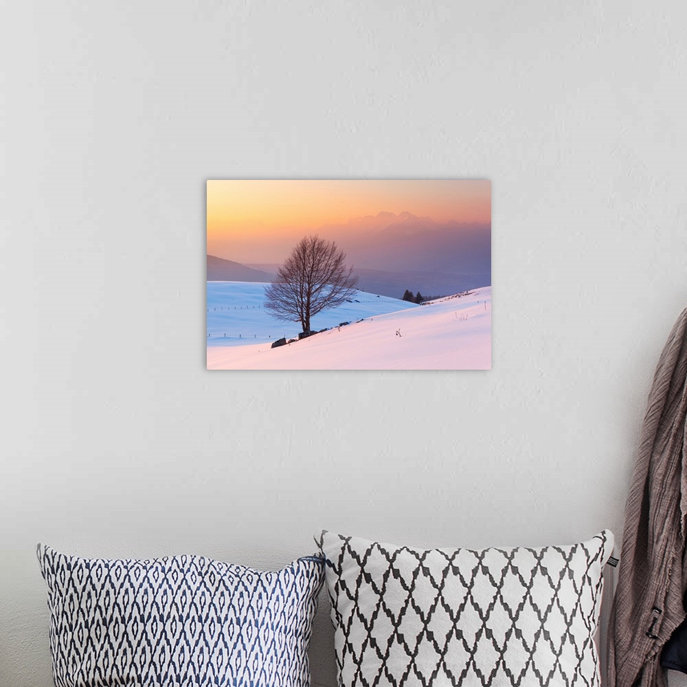 A bohemian room featuring A Lonely Beech On Snowy Pastures Of Mezzomiglio With Schiara Group On Background, Prealps Of Bell...