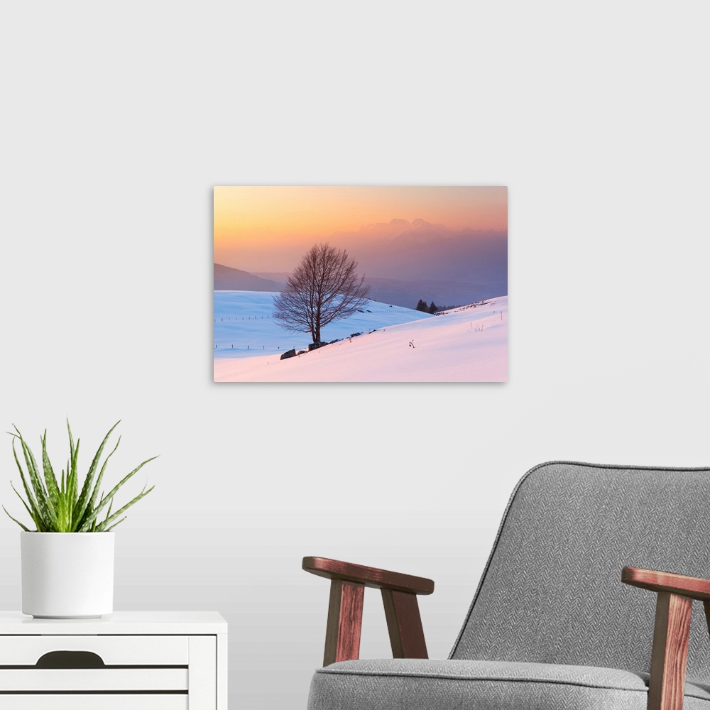 A modern room featuring A Lonely Beech On Snowy Pastures Of Mezzomiglio With Schiara Group On Background, Prealps Of Bell...