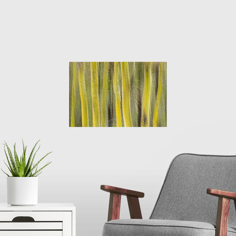 A modern room featuring Abstract of trees
