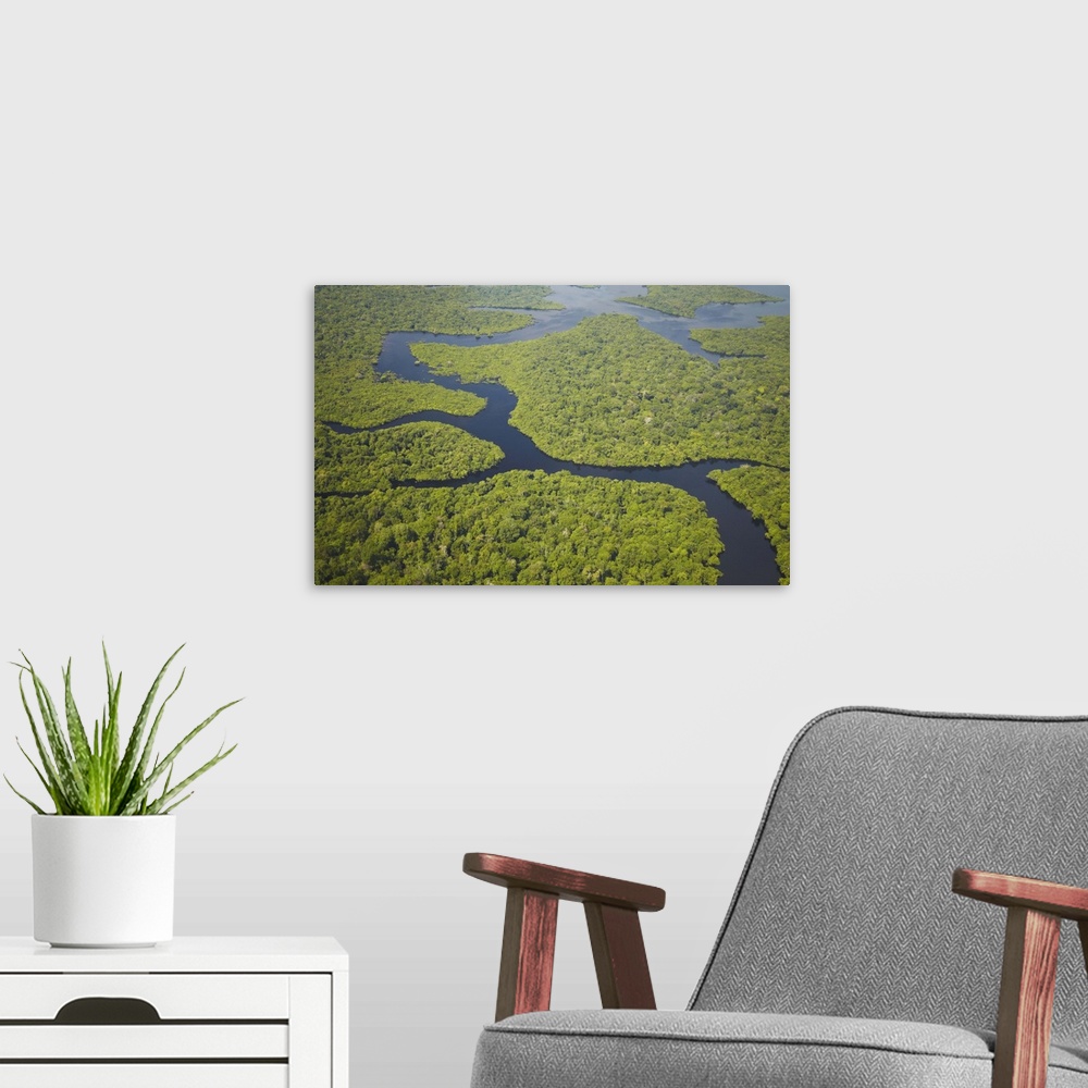 A modern room featuring Aerial view of Amazon Rainforest and tributary of Rio Negro, Manaus, Amazonas, Brazil
