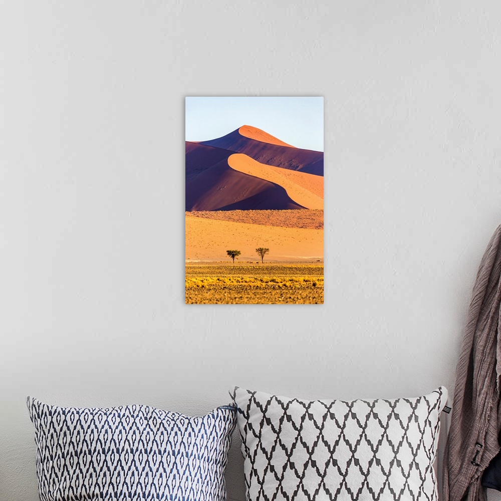 A bohemian room featuring Africa, Namibia, Namib Desert, Sossusvlei, dunes at sunrise