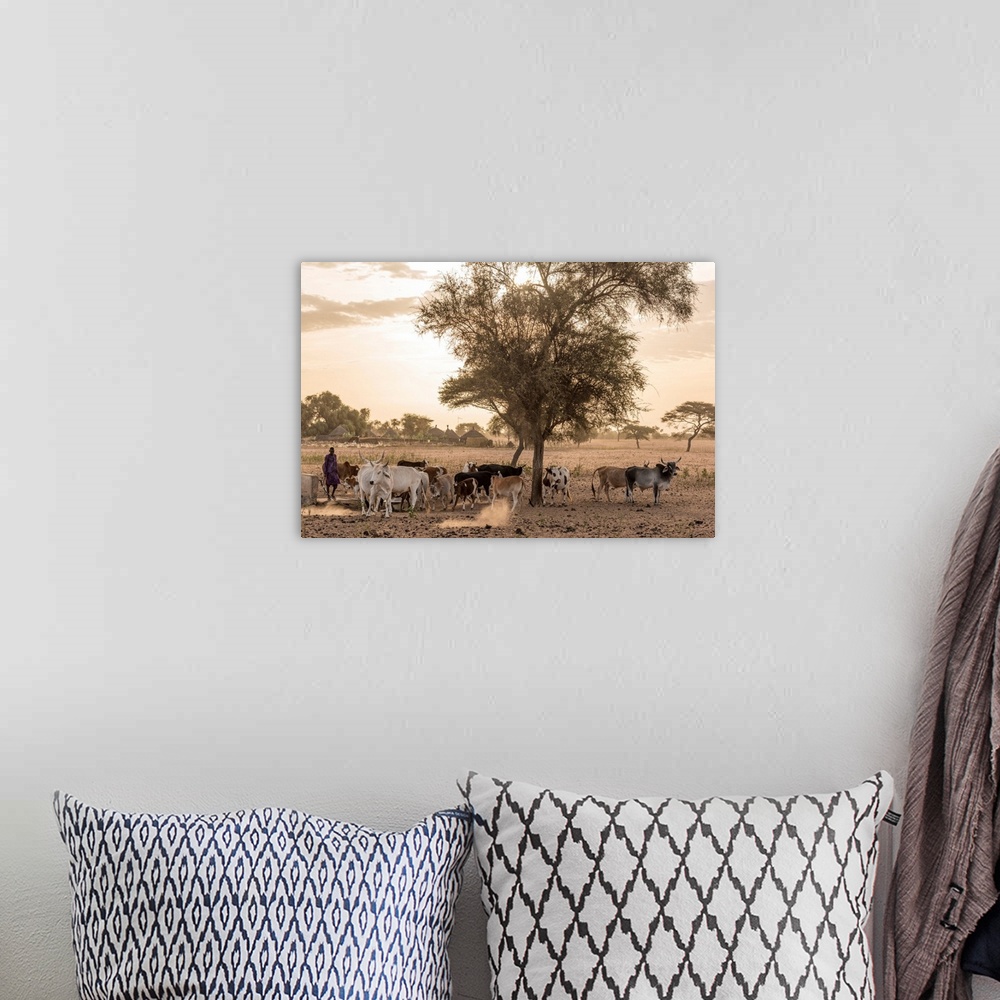 A bohemian room featuring Africa, Senegal. Sunrise In A Fulani Village, Cattle Going Out