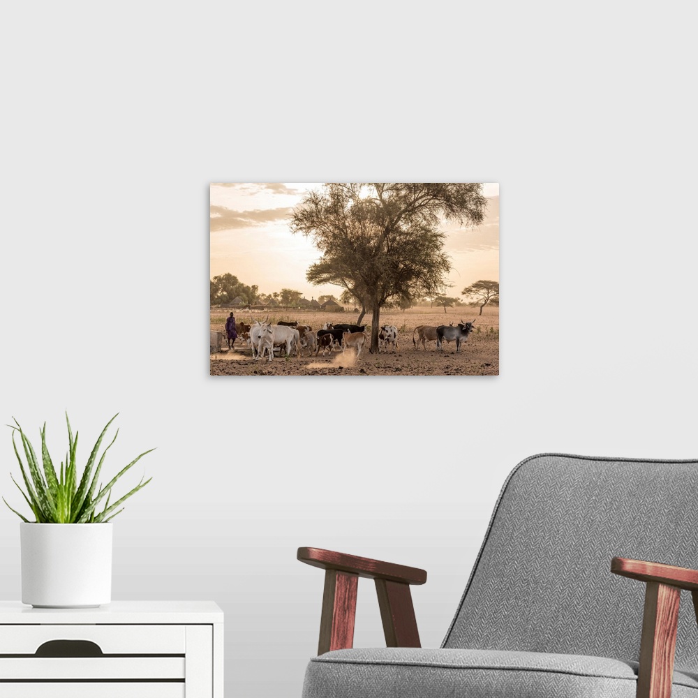 A modern room featuring Africa, Senegal. Sunrise In A Fulani Village, Cattle Going Out