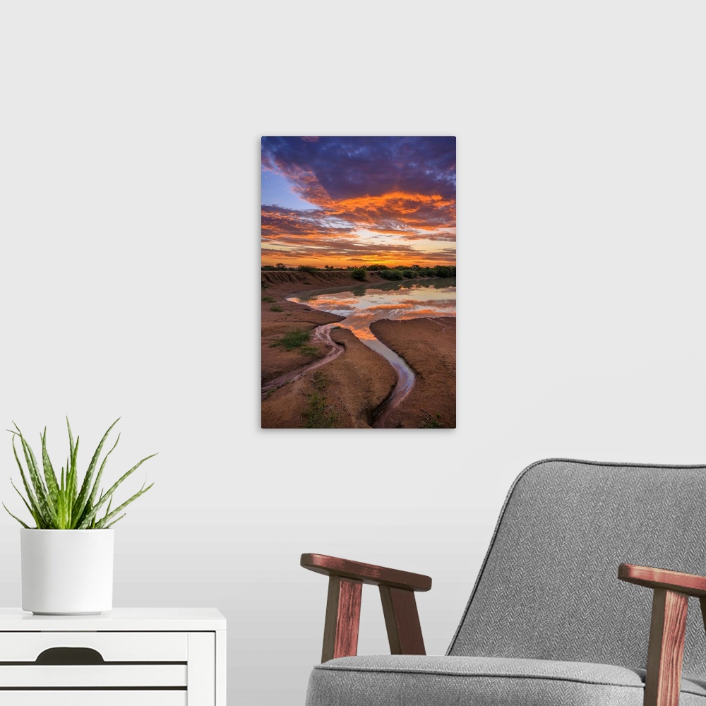 A modern room featuring Africa, South Africa, African, Limpopo province, water hole at sunset.
