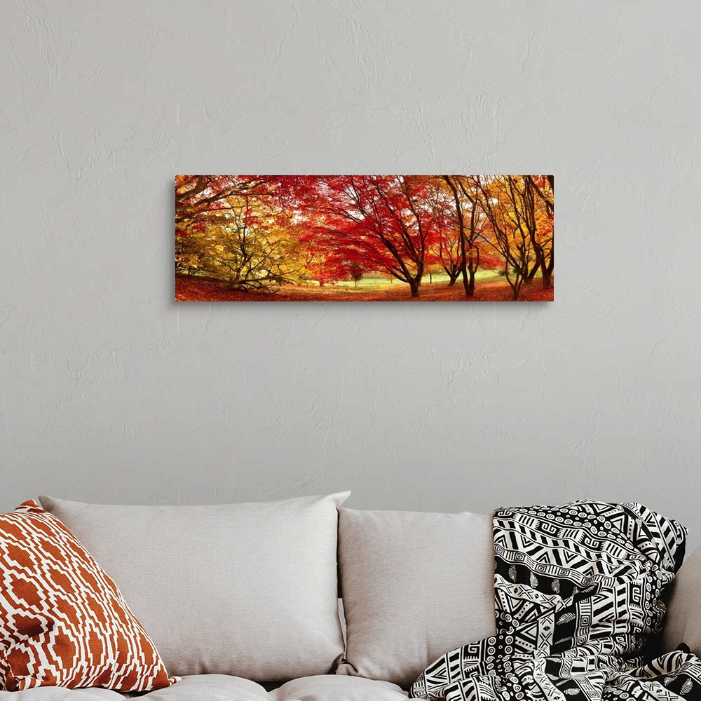 A bohemian room featuring Panoramic art work of trees clustered together and creating a dome from their fall foliage and br...