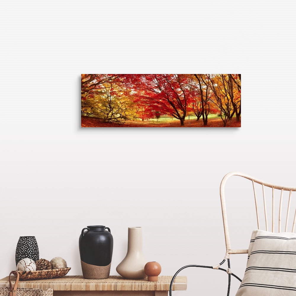 A farmhouse room featuring Panoramic art work of trees clustered together and creating a dome from their fall foliage and br...