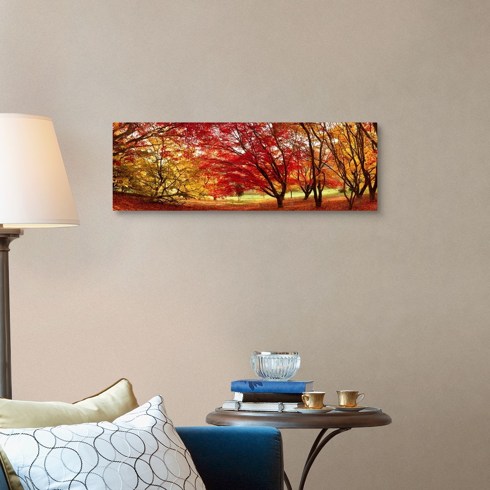 A traditional room featuring Panoramic art work of trees clustered together and creating a dome from their fall foliage and br...
