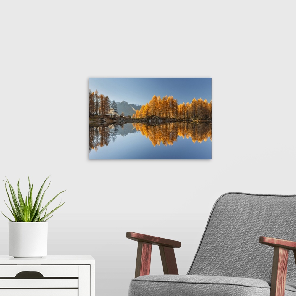 A modern room featuring Autumn larches reflected on Azzurro lake, Motta, Campodolcino, Sondrio province, Lombardy, Italy,...