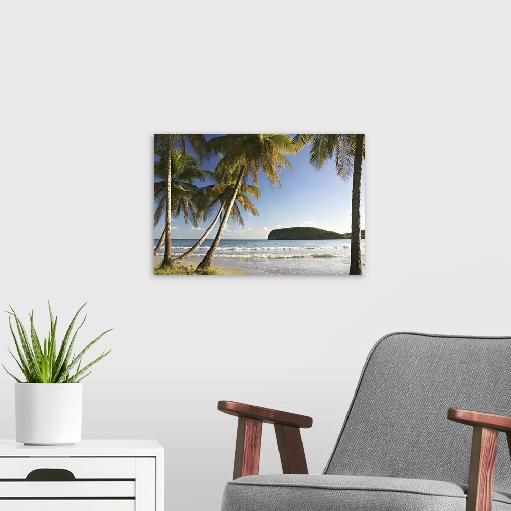 A modern room featuring Beach, La Sagesse Estate, Grenada, Caribbean