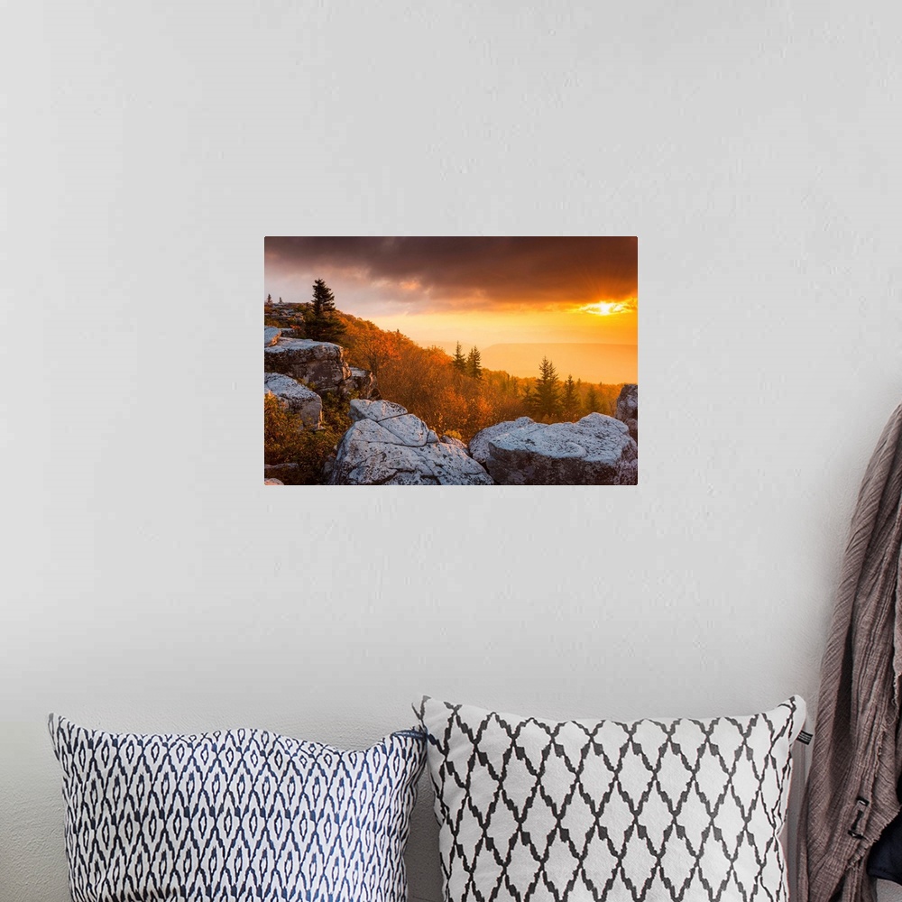 A bohemian room featuring Bear Rocks At Sunrise, Dolly Sods Wilderness, West Virginia, USA
