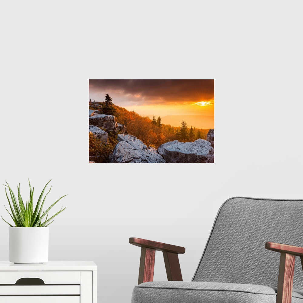 A modern room featuring Bear Rocks At Sunrise, Dolly Sods Wilderness, West Virginia, USA