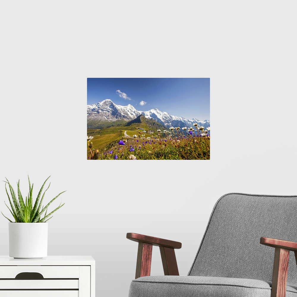 A modern room featuring Colorful flowers framing Mount Eiger Mannlichen Grindelwald Bernese Oberland Canton of Berne Swit...