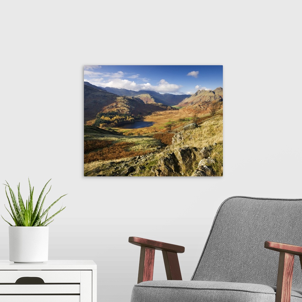 A modern room featuring Blea Tarn and Langdale Fell, Lake District National Park, Cumbria, England, UK. Autumn, November,...