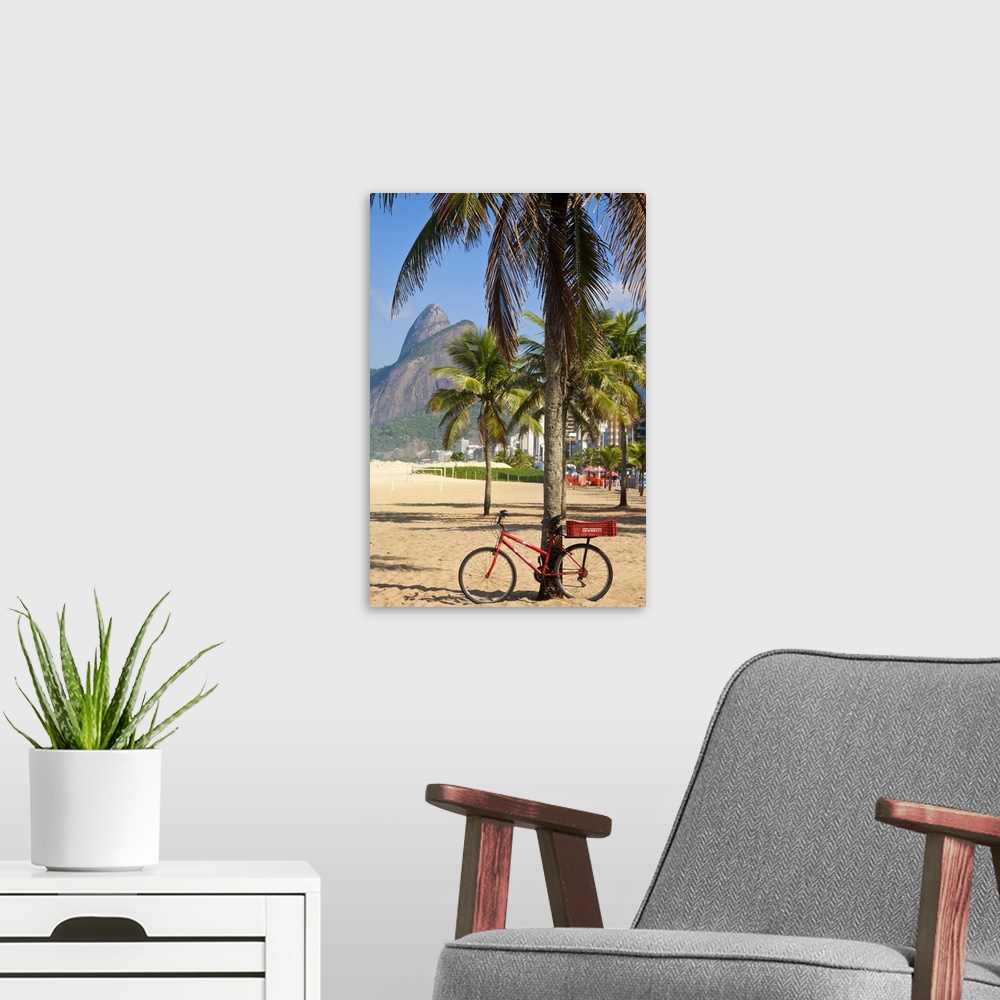 A modern room featuring Brazil, Rio De Janeiro, Leblon beach, Bike leaning on palm tree