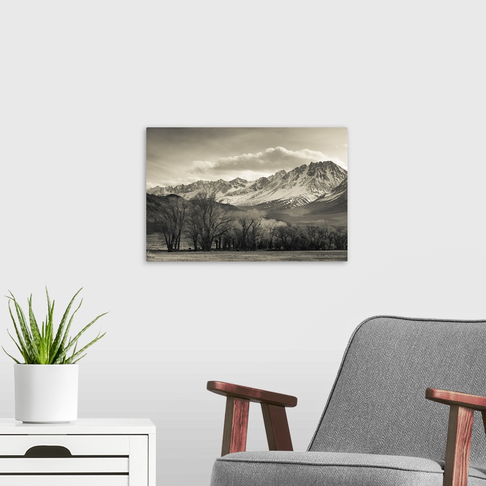 A modern room featuring USA, California, Eastern Sierra Nevada Area, Bishop, landscape of the Pleasant Valey