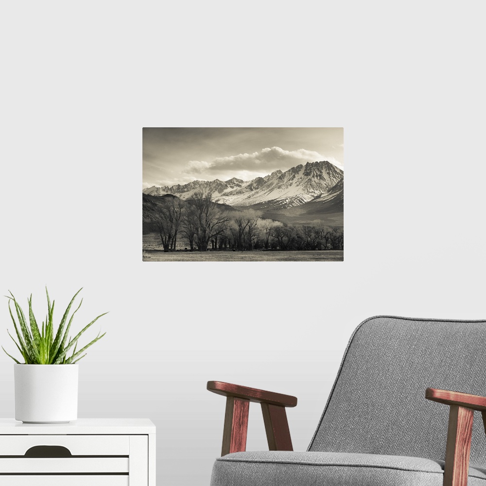 A modern room featuring USA, California, Eastern Sierra Nevada Area, Bishop, landscape of the Pleasant Valey