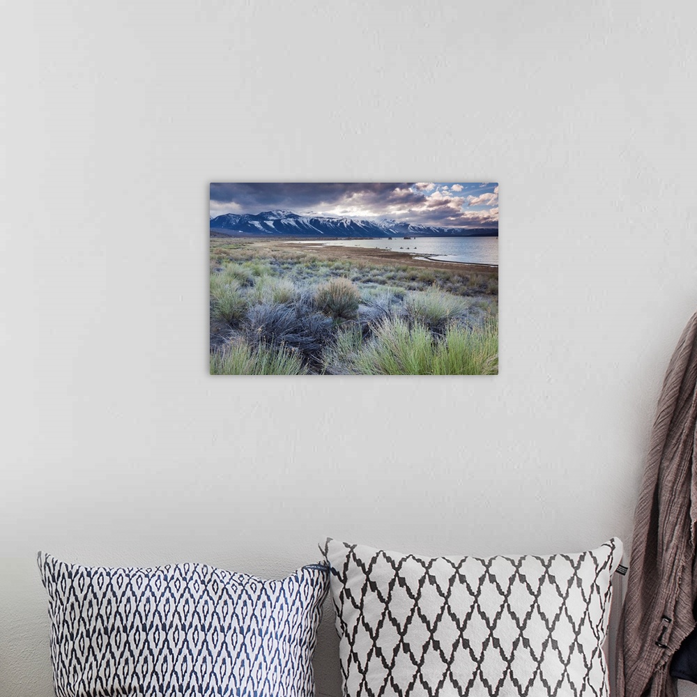 A bohemian room featuring USA, California, Eastern Sierra Nevada Area, Lee Vining, Mono Lake, mountain landscape