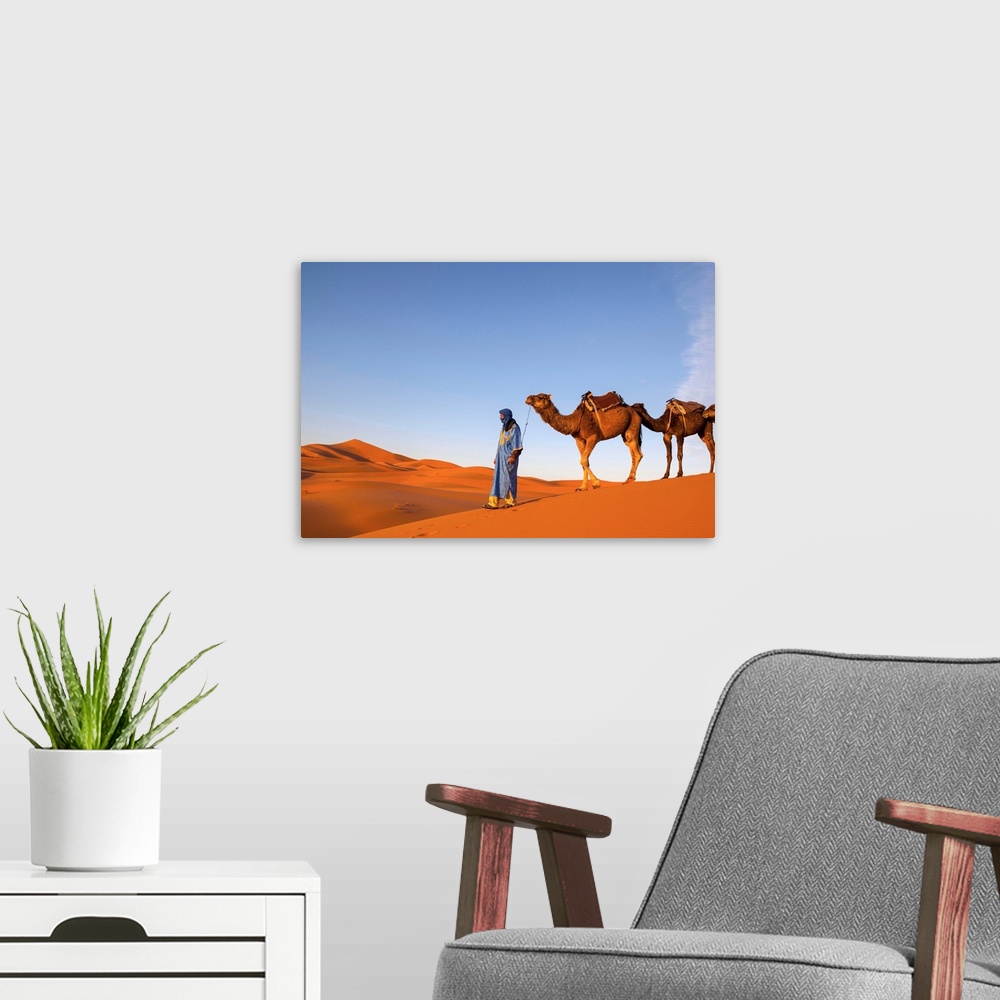 A modern room featuring Camel Driver, Sahara Desert, Merzouga, Morocco, (MR)