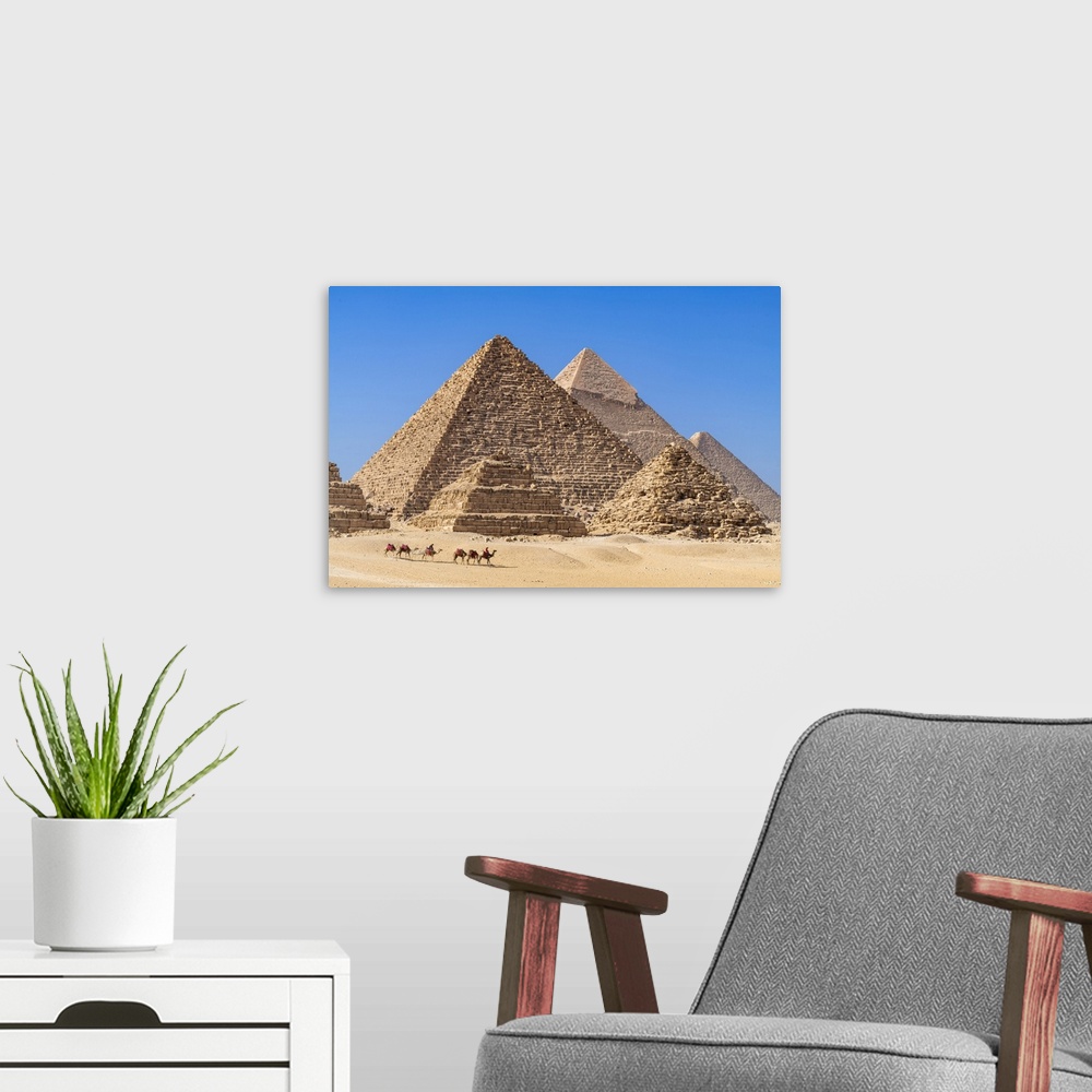 A modern room featuring Camel train at the Pyramids of Giza, Giza, Cairo, Egypt