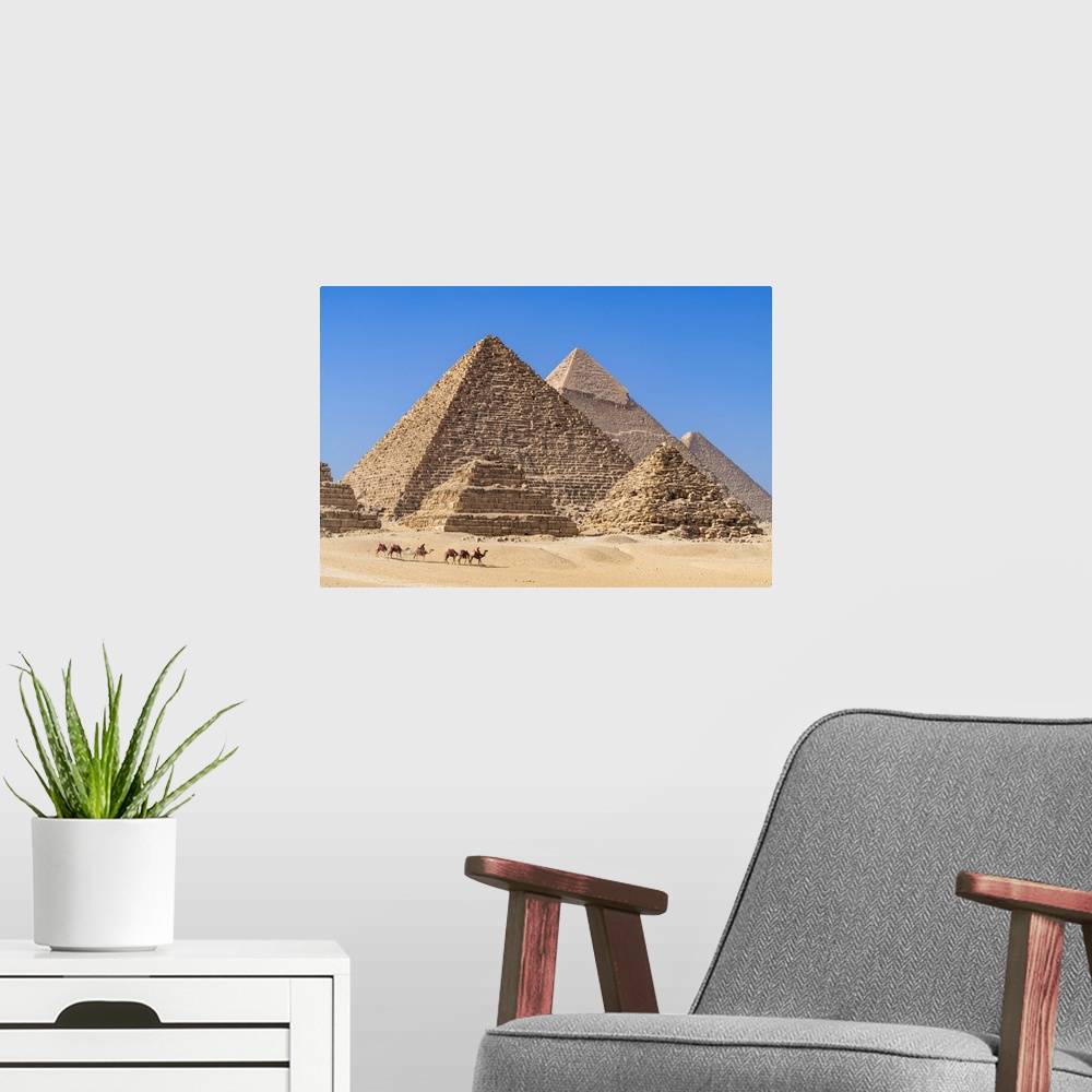 A modern room featuring Camel train at the Pyramids of Giza, Giza, Cairo, Egypt