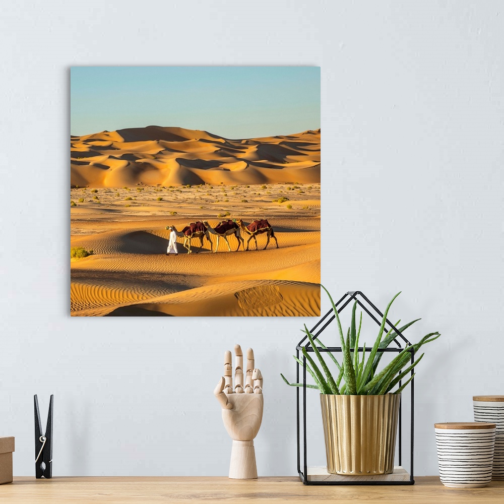 A bohemian room featuring Camels In The Empty Quarter (Rub Al Khali), Abu Dhabi, United Arab Emirates (MR)