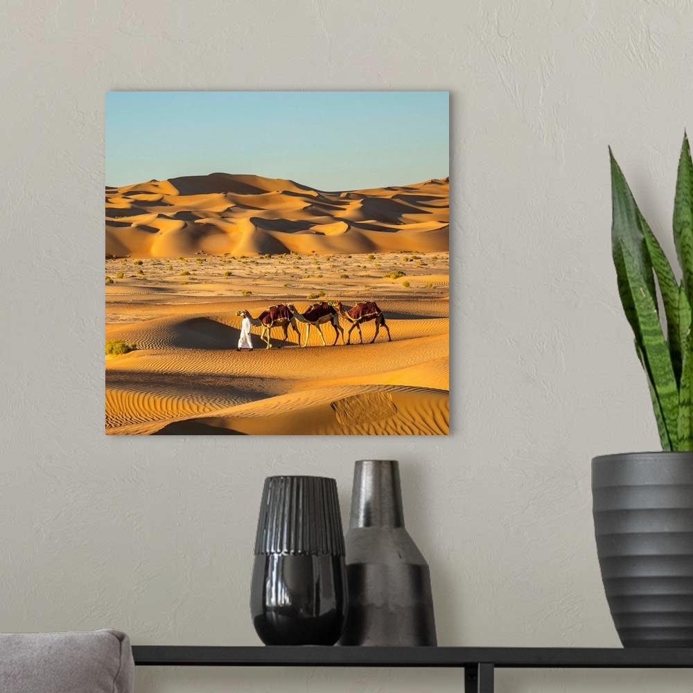 A modern room featuring Camels In The Empty Quarter (Rub Al Khali), Abu Dhabi, United Arab Emirates (MR)