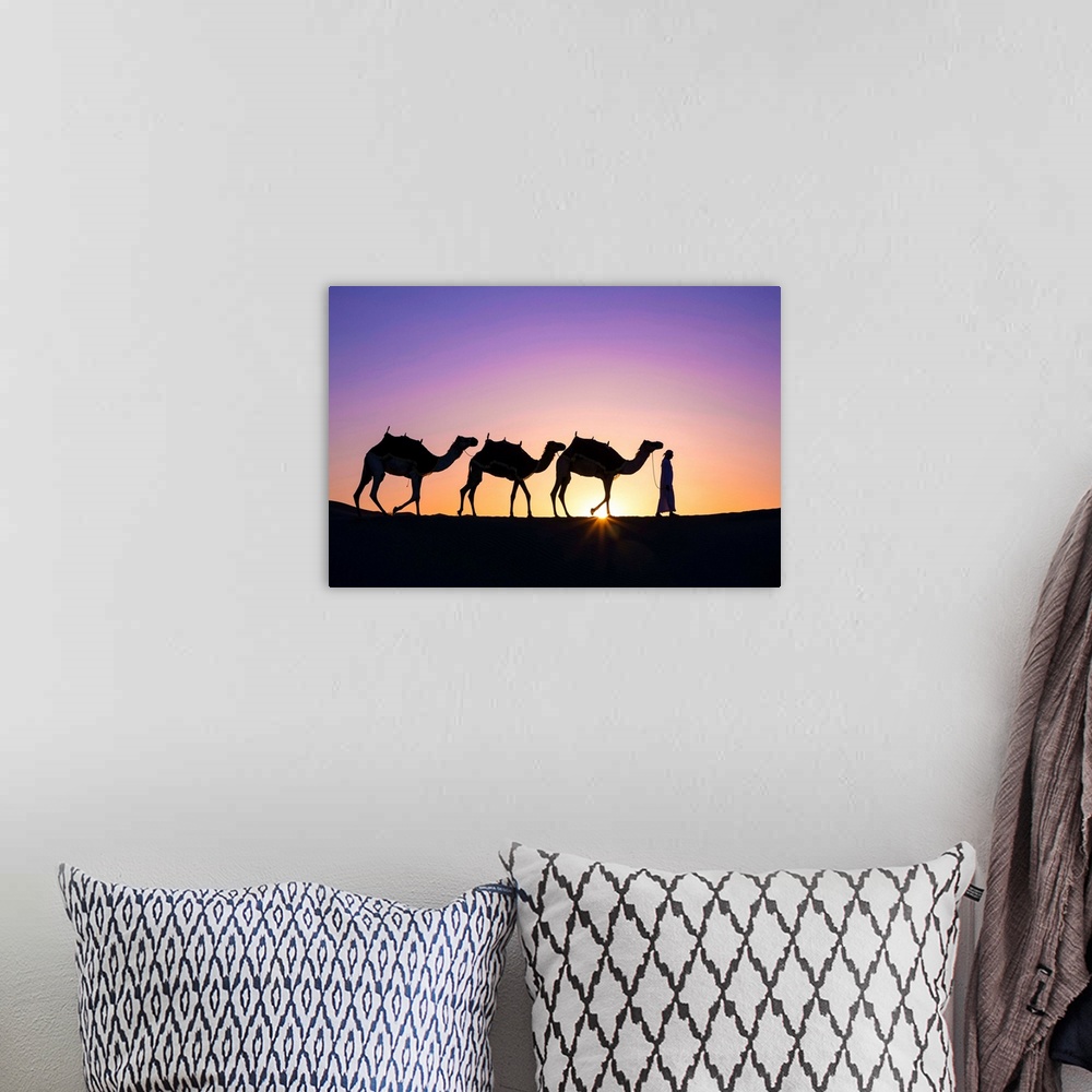 A bohemian room featuring Camels In The Empty Quarter (Rub Al Khali), Abu Dhabi, United Arab Emirates (MR)