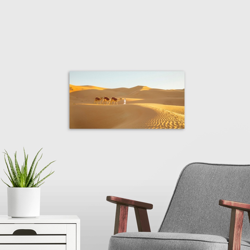 A modern room featuring Camels In The Empty Quarter (Rub Al Khali), Abu Dhabi, United Arab Emirates (MR)