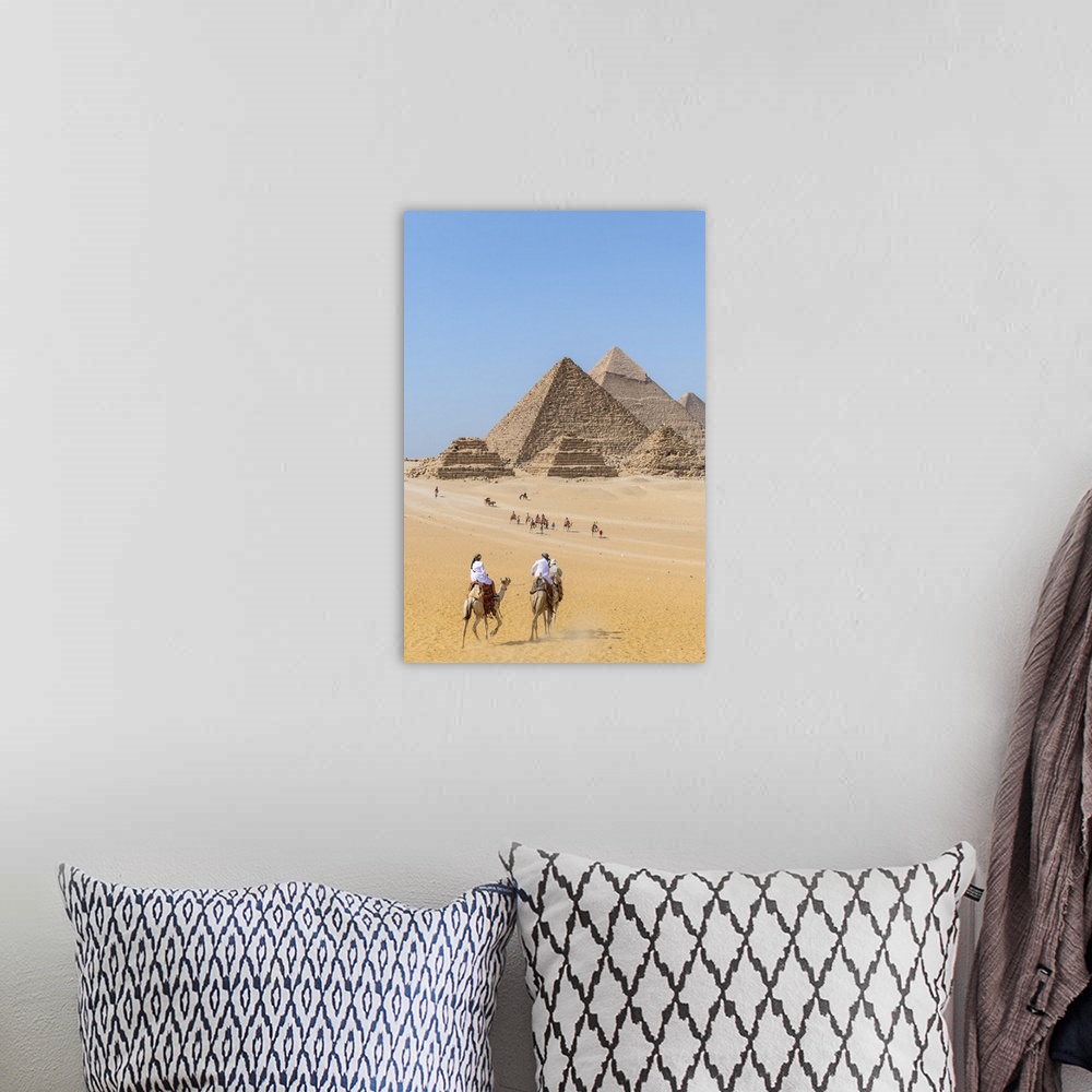 A bohemian room featuring Camels train at the Pyramids of Giza, Giza, Cairo, Egypt
