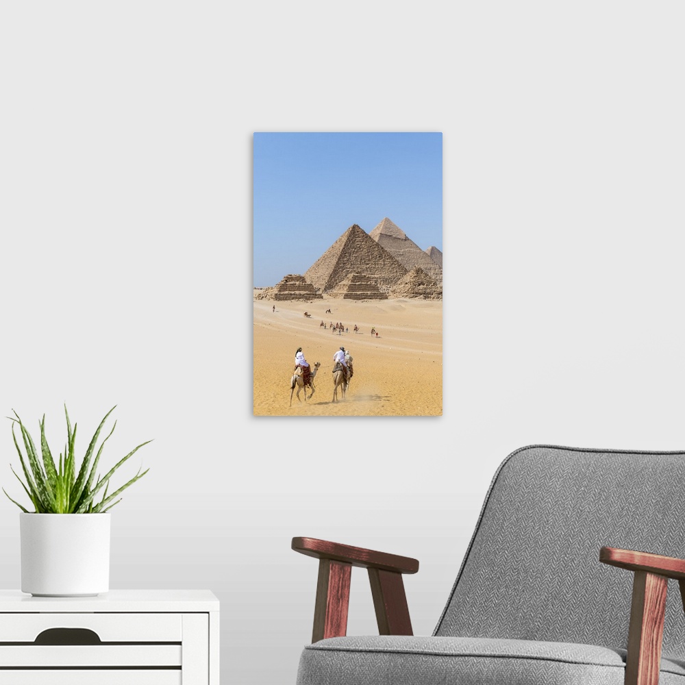 A modern room featuring Camels train at the Pyramids of Giza, Giza, Cairo, Egypt