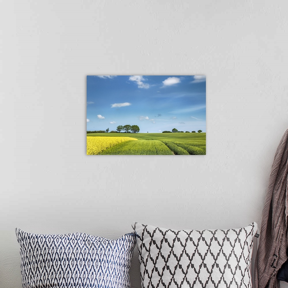 A bohemian room featuring Canola field, Baltic coast, Schleswig-Holstein, Germany.