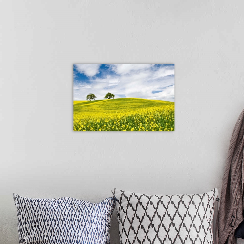 A bohemian room featuring Rape Fields in Orcia Valley, Tuscany, Italy