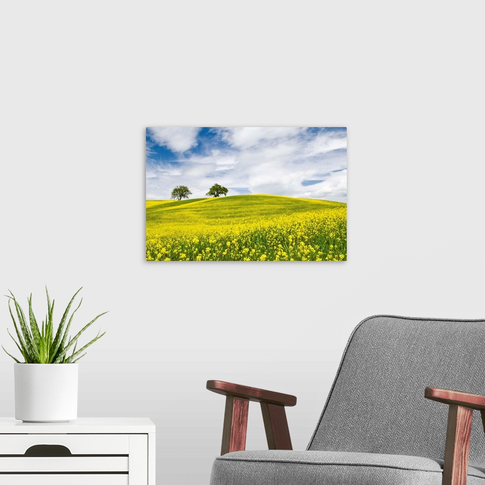 A modern room featuring Rape Fields in Orcia Valley, Tuscany, Italy