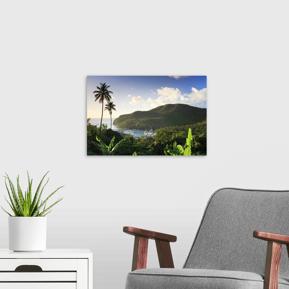 A modern room featuring Caribbean, St Lucia, Marigot Bay and Harbour