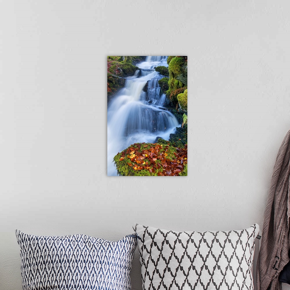 A bohemian room featuring Cascading Waterfall in Autumn, Birks of Aberfeldy, Perth & Kinross, Scotland