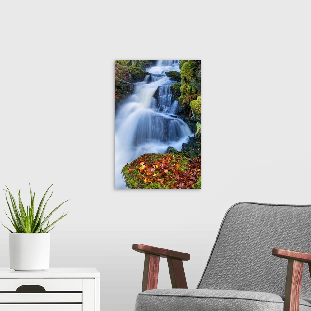 A modern room featuring Cascading Waterfall in Autumn, Birks of Aberfeldy, Perth & Kinross, Scotland