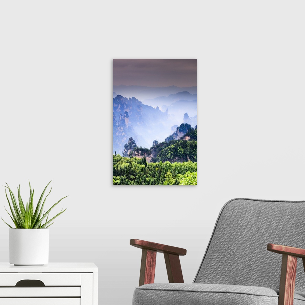 A modern room featuring China, Hunan, Zhangjiajie National Forest Park, also called the Halleluja mountains, the forest t...