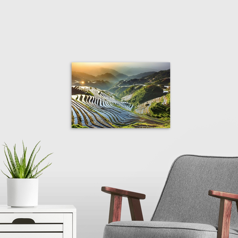 A modern room featuring China, Guangxi Province, Longsheng, Long Ji rice terrace filled with water in the morning with Ti...