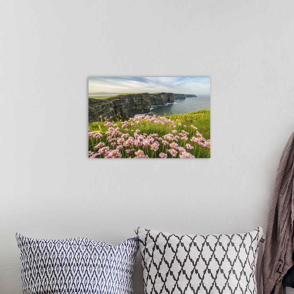 A bohemian room featuring Cliffs of Moher with flowers on the foreground. Liscannor, Munster, County Clare, Ireland, Europe.