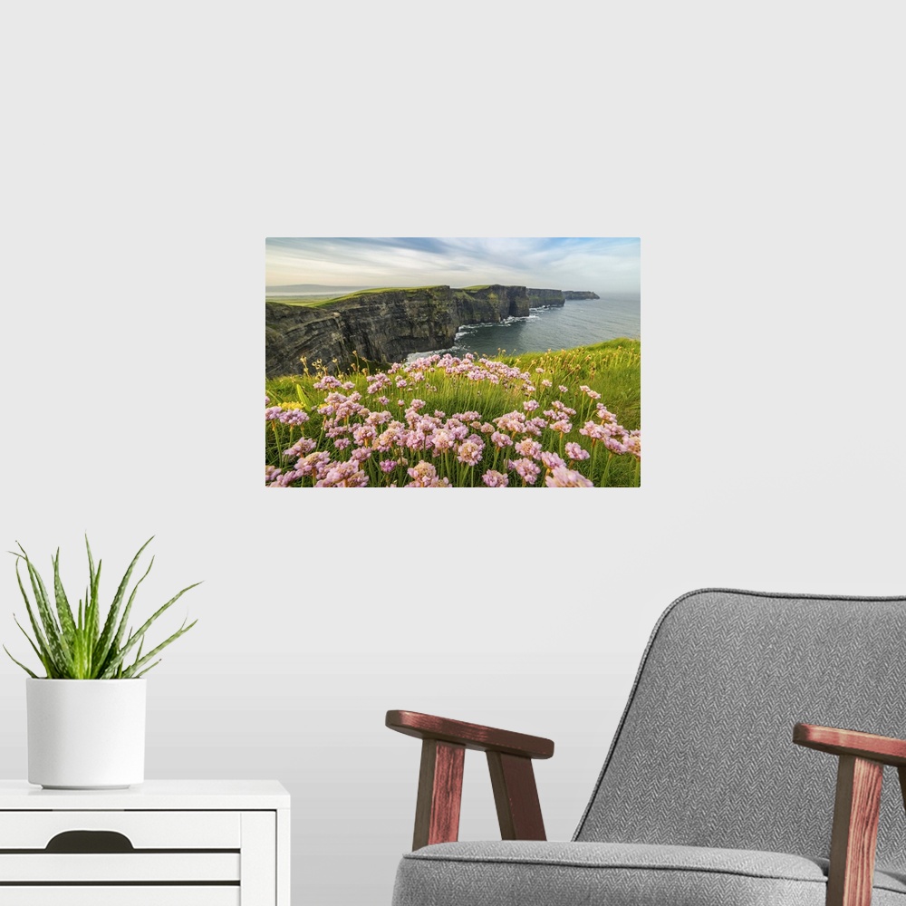 A modern room featuring Cliffs of Moher with flowers on the foreground. Liscannor, Munster, County Clare, Ireland, Europe.