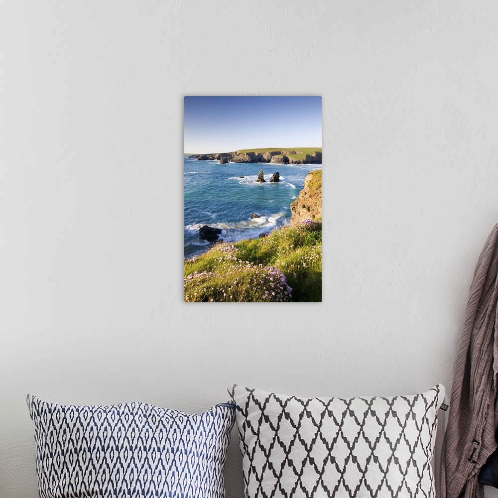 A bohemian room featuring Clifftop view of Porthcothan Bay with Spring wildflowers, Cornwall, England. Spring