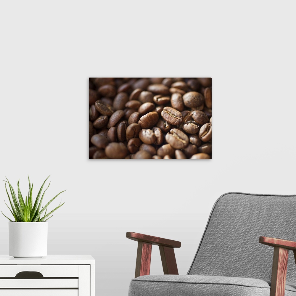 A modern room featuring Colombia, Caldas, Manizales, Colombian Coffee beans