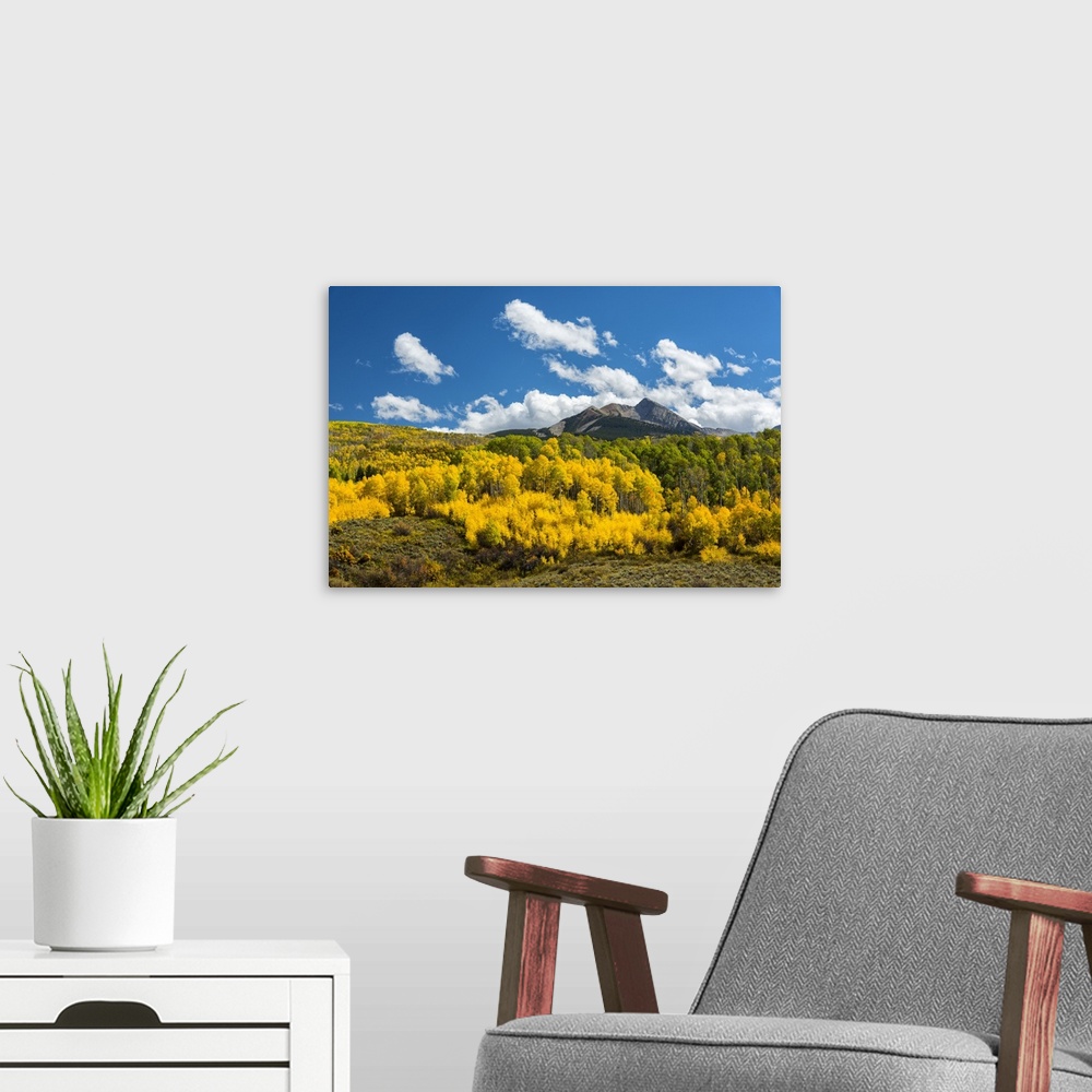 A modern room featuring USA, Colorado, McClure Pass in the Colorado Rockies.