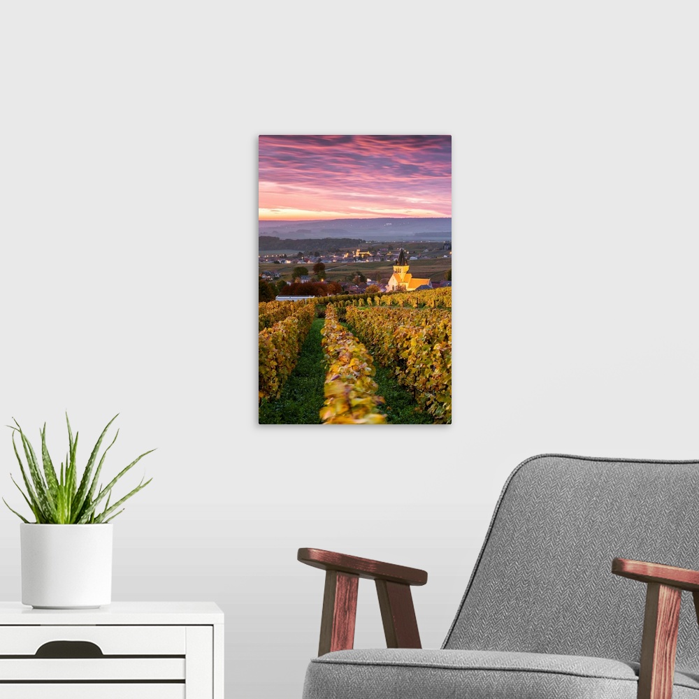 A modern room featuring Colorful sunrise over the vineyards of Ville Dommange, Champagne Ardenne, France.