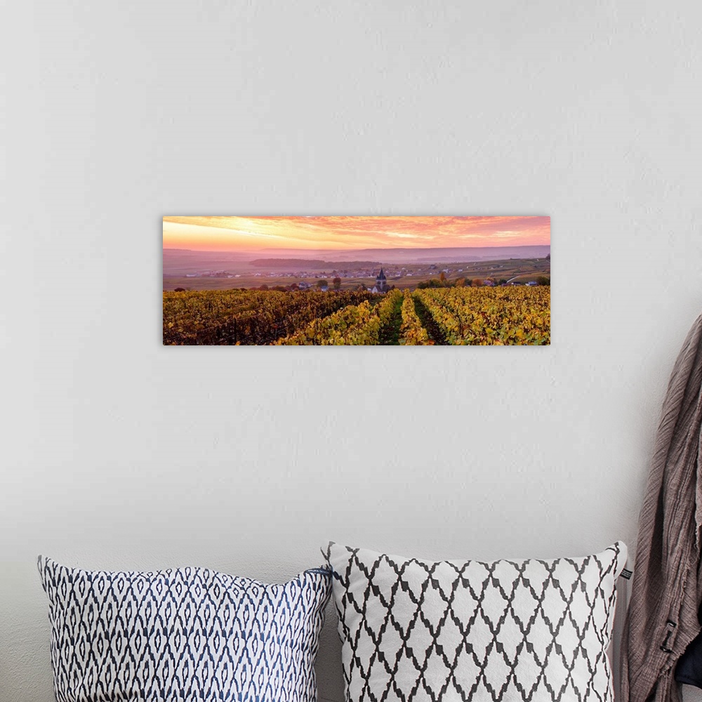 A bohemian room featuring Colorful sunrise over the vineyards of Ville Dommange, Champagne Ardenne, France.