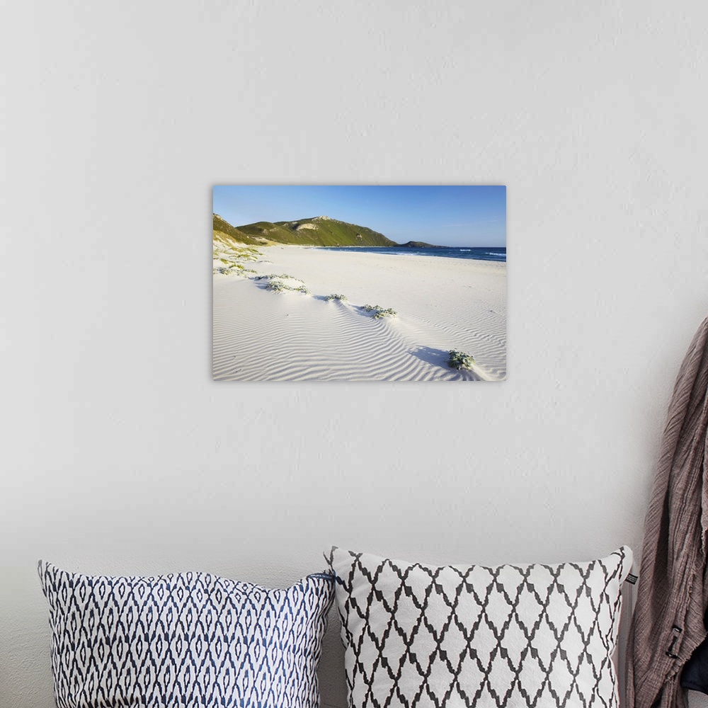 A bohemian room featuring Conspicuous Cliffs beach, Walpole, Western Australia, Australia