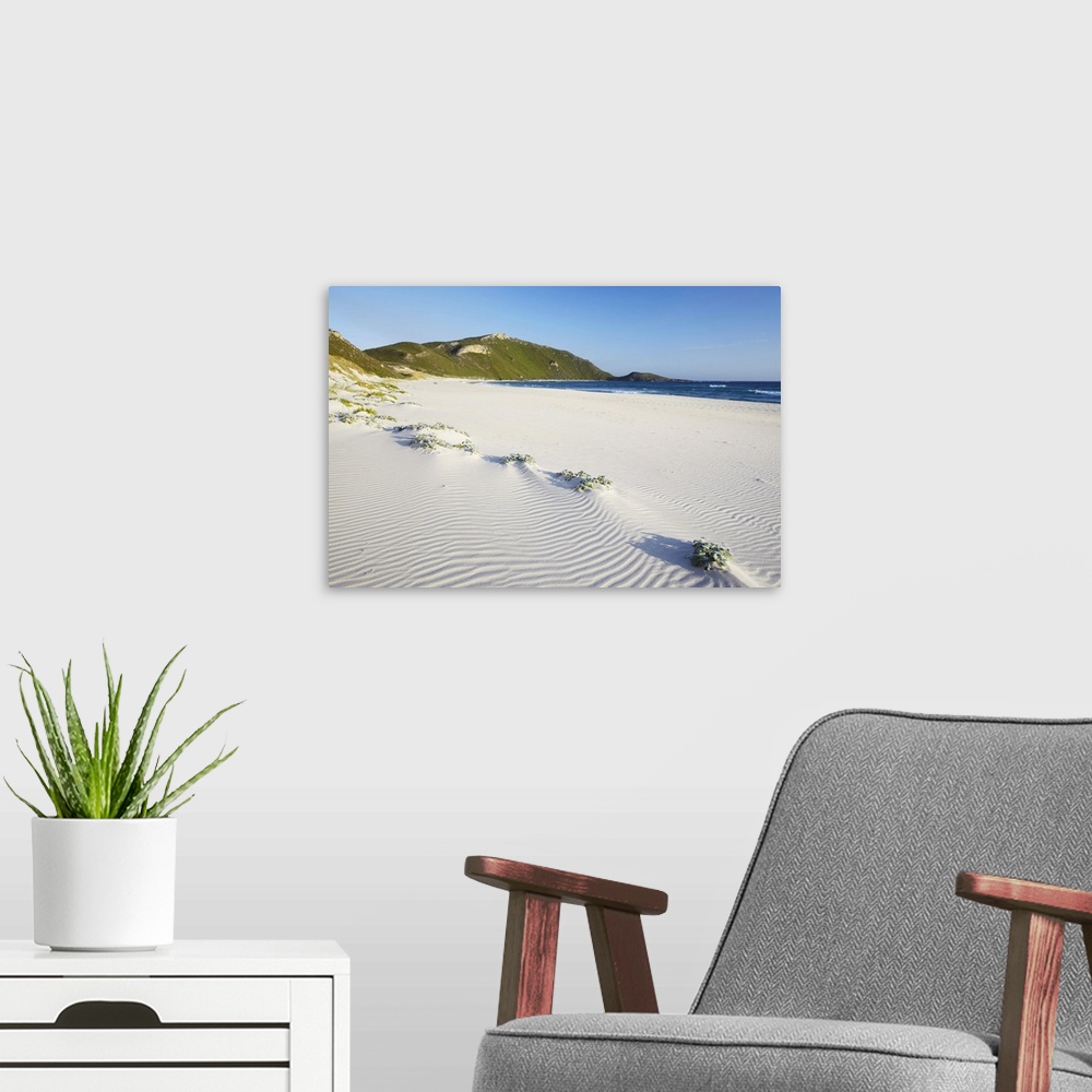 A modern room featuring Conspicuous Cliffs beach, Walpole, Western Australia, Australia