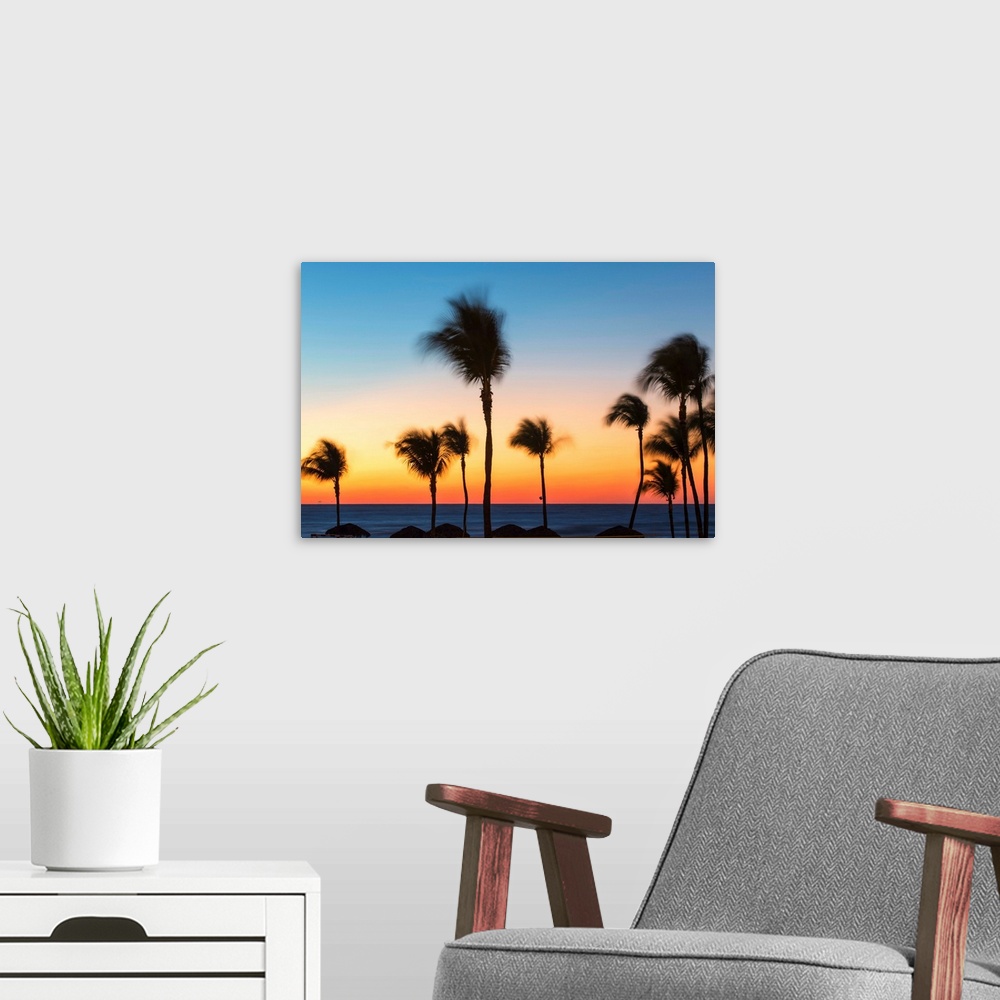 A modern room featuring Cuba, Varadero, Palm trees on Varadero beach at sunset.