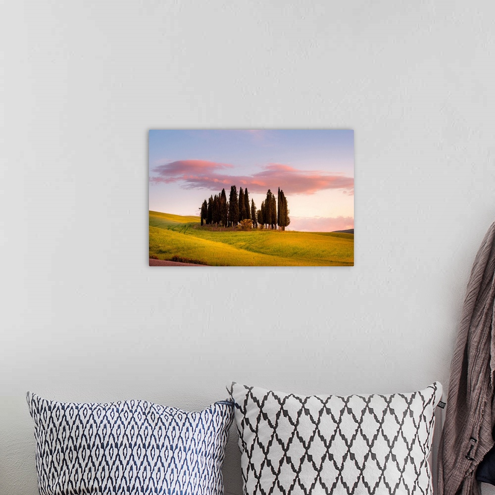 A bohemian room featuring Cypresses At Sunset In Orcia Valley. Siena District, Tuscany, Italy.