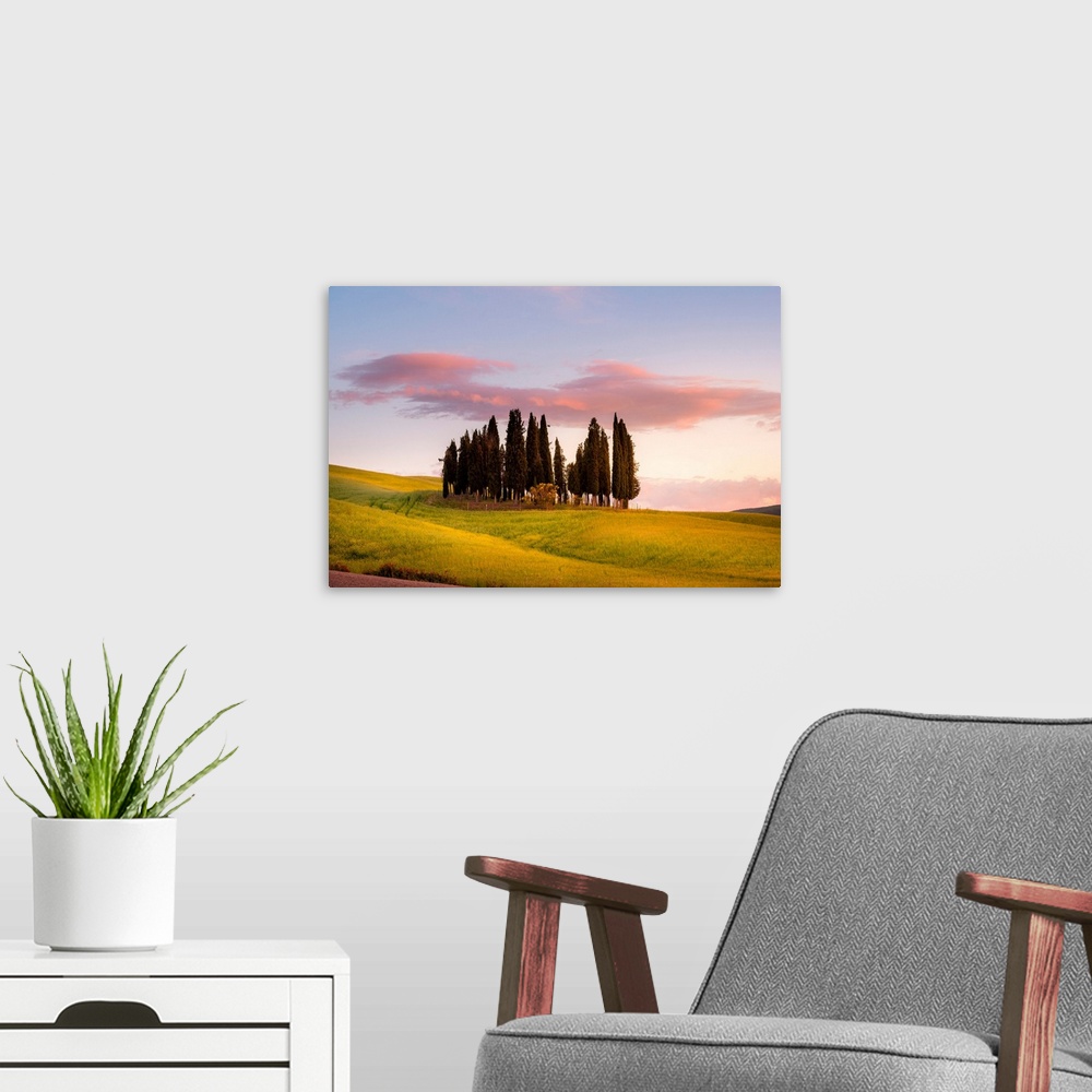 A modern room featuring Cypresses At Sunset In Orcia Valley. Siena District, Tuscany, Italy.